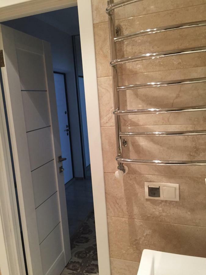 צ'יסינאו Center Apartment On Albisoara Street מראה חיצוני תמונה