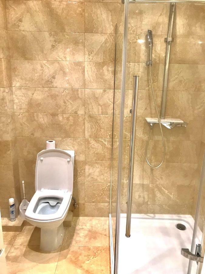 צ'יסינאו Center Apartment On Albisoara Street מראה חיצוני תמונה