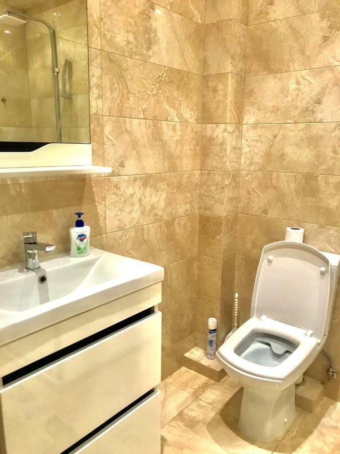צ'יסינאו Center Apartment On Albisoara Street מראה חיצוני תמונה